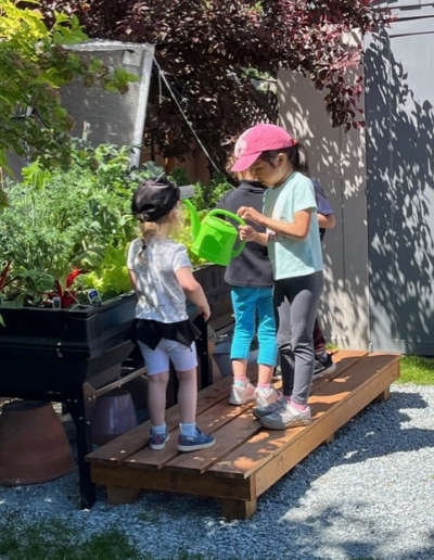 Coronation Montessori children watering the garden produce